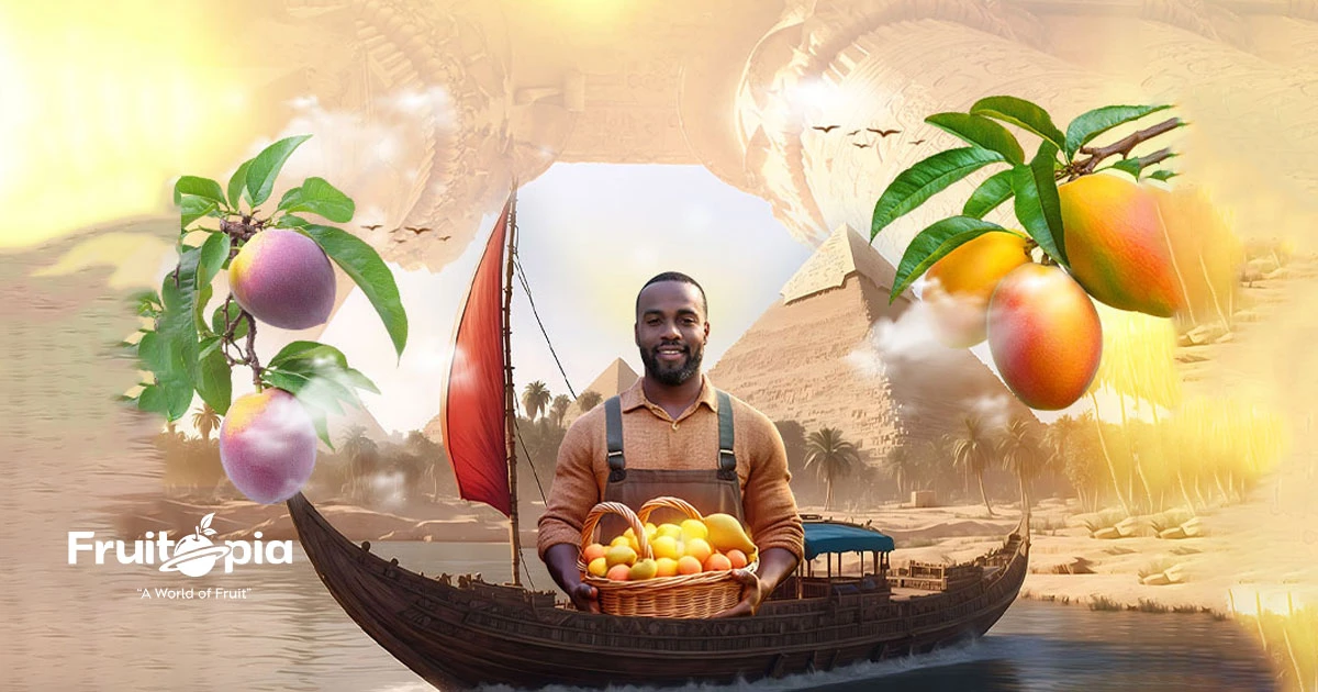 Egypt’s Agricultural Potential: Which Products Stand Out in the Global Market?